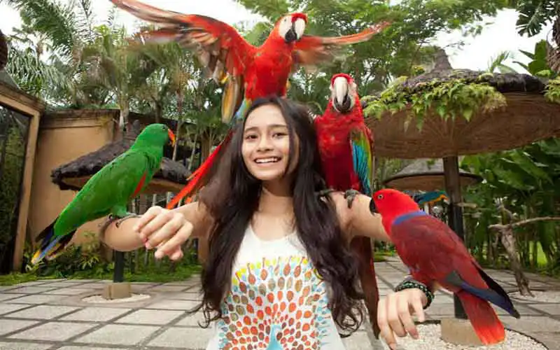 bird park bird park